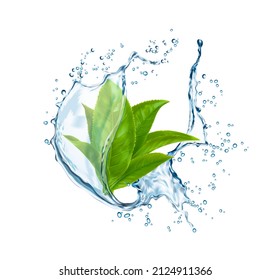 Green tea leaves in water splash. Vector organic herbal drink in transparent aqua flow with splatters. Isolated 3d splash with foliage, fresh plant, natural aroma beverage - Shutterstock ID 2124911366