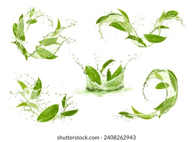 Hojas verdes de té con salpicaduras de olas y gotas. Agua vectorial 3d o bebida matcha corona, salpicaduras redondas y onduladas con gotitas caídas y burbujas. Bebida de hierbas naturales para refresco y salud