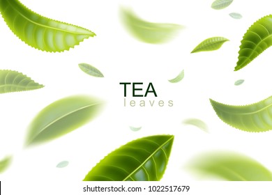 Green tea. Tea leaves whirl in the air. Tea leaves in motion on a white background. Element for design, advertising, packaging of tea products Vector illustration.