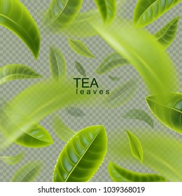 Green tea. Tea leaves whirl in the air. The leaves of tea in motion are isolated on a transparent background. Vector illustration.