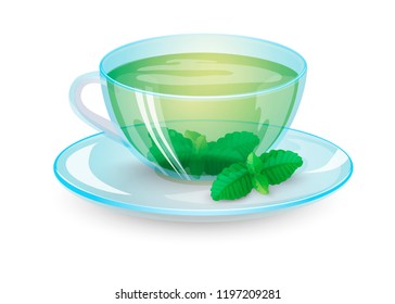 Green Tea With Mint In A Transparent Cup Isolated On White  Background. Organic Healthy Drink. Vector Illustration