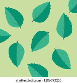 Green tea, mint or tree leaf nature. Mint leaf vector illustration