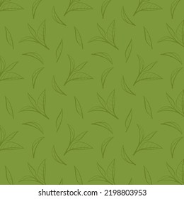 Green tea pattern wallpaper. Green tea doodle vector. Matcha pattern.