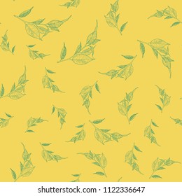 Green tea plant, leaf. Hand drawn sketch vector illustration. bPattern print design for packaging