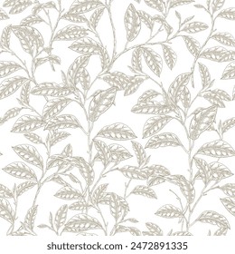 Green tea plant seamless pattern. Vector illustration hand drawn. Camellia sinensis leaves on white background.