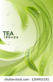 Green tea. Realistic background with tea leaves and water drops. Vector illustration for design, advertising, packaging of tea products.