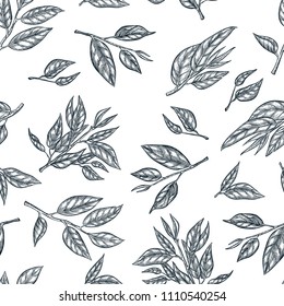 Green tea seamless vector pattern. Sketch hand drawn illustration of leaves and branches. Fashion textile print or background design.