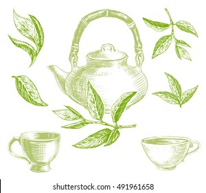 Green tea set with leaves, teapot and cup.