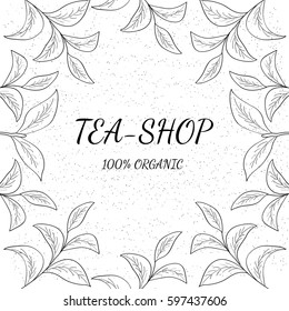 Green tea  shop leaf illustration, branch organic hand drawing sketch, square banner template for packing cosmetics, packaging, branding, etc