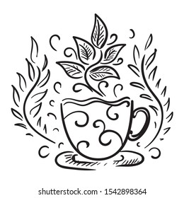 Green tea. Sketch. Vector illustration