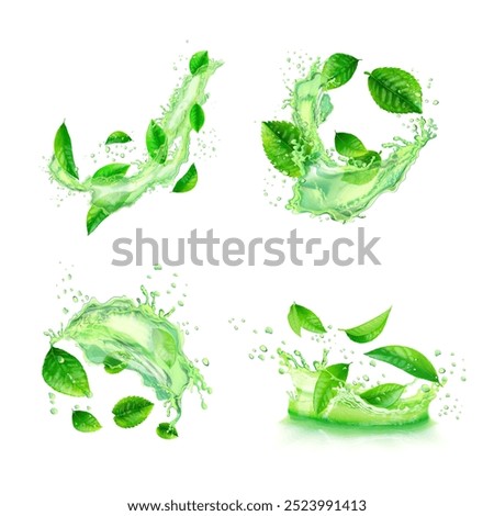 Green tea splashes. Herbal water splash with mint leaves fresh drink, herb extract liquid splatter menthol peppermint leaf refreshing aqua flow, realistic exact vector illustration original artwork