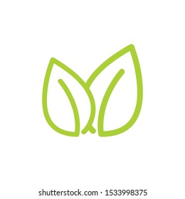 Green tea. Sprig of tea. Vector illustration.