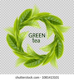 Green tea. Sprigs of tea in the form of a round frame isolated on transparent background. Realistic vector illustration.