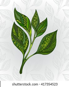 Green tea sprout, decorated with abstract pattern on gray background, decorated with stylized leaves.