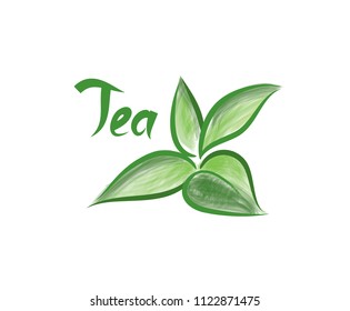 Green tea tree branch herb label with lettering TEA. Tea leaves card background for hot beverage menu design