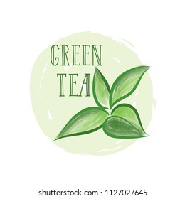 Green tea tree branch herb label with lettering GREEN TEA. Tea leaves card background for hot beverage menu design