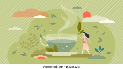 Green Tea Vector Illustration. Herbal Drink In Flat Tiny Persons Concept. Hot Natural Beverage With Ecological Leaves. Organic Delicious Fresh Morning Taste. Healthy Lifestyle And Beauty Ingredient.