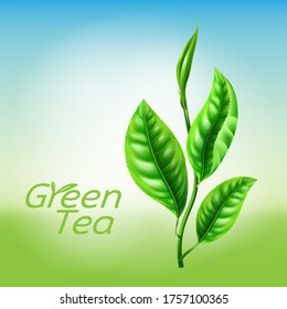 Green Tea vector on background