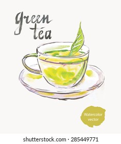 Green tea, watercolor, hand drawn, vector
