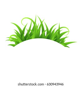 Green tender grass, isolated on white background, vector illustration