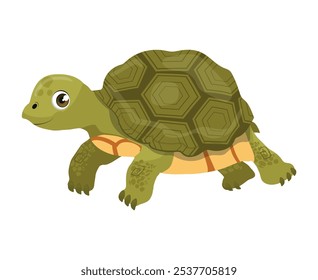 Green Terrestrial Turtle with Shell as Home Pet Animal Vector Illustration.