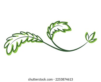 Green text divider, page separators design. Line border, laurel, organic frame with plant. Floral decorative element. Natural flourishes, curve line vector collection isolated on white