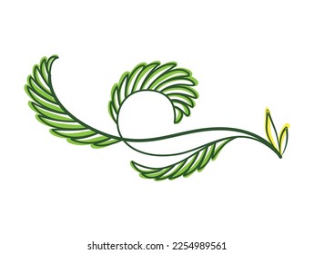 Green text divider, page separators design. Line border, laurel, organic frame with plant. Floral decorative element. Natural flourishes, curve line vector collection isolated on white