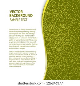 Green text page with leaf texture. Vector illustration, eps 10, contains transparencies.