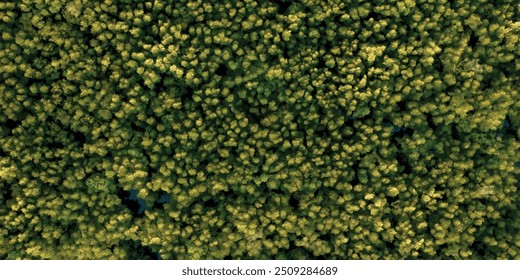 textura verde com vista aérea floresta verde no mar