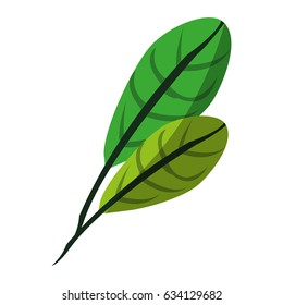 green textured leaf icon image