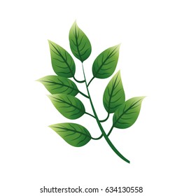 green textured leaf icon image
