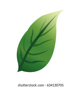 green textured leaf icon image