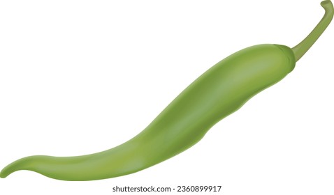 pimienta fina verde. Iconos 3d objeto vector de representación realista. pimienta, vegetales, alimentos, ecológicos, sanos, agrícolas, naturales, vegetarianos