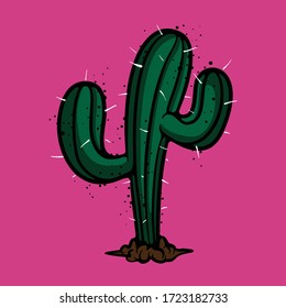 Concepto de vector cactus espinoso verde. Ilustración vectorial de la planta del desierto aislada sobre fondo rosa