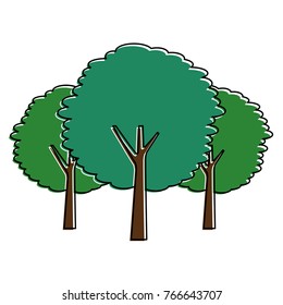 green three tree plant botanical natural