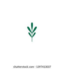 Green thyme twig, shoot, sprig. Icon Isolated on white. Logo for eco company, agriculture, nature firm, ecology, healthy organic and farm fresh food. Vector Illustration. kitchen herbs