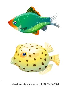Green tiger barb and boxfish isolated on white. Fresh and saltwater aquarium pets silhouette on blank background in cartoon style vector illustration