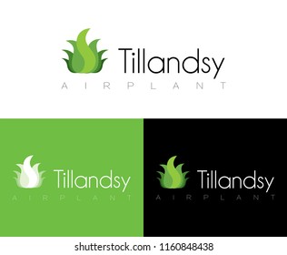 green tillandsia leaf logo in vector, Graphic Design, Editable For Your Design. Logo Symbols - Isolated On Gray Background