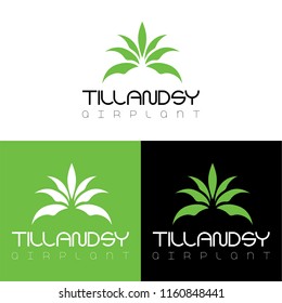green tillandsia leaf logo in vector, Graphic Design, Editable For Your Design. Logo Symbols - Isolated On Gray Background