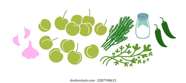 Green tkemali sauce fresh ingridients set. Plum sause making. Flat vector illustration isolated on white background.