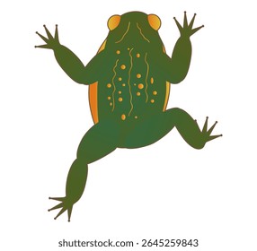 Sapo verde com pele manchada. A bruxa é familiar, animal de totem, animal de estimação mágico. Ilustração de vetor de sapo de pântano.