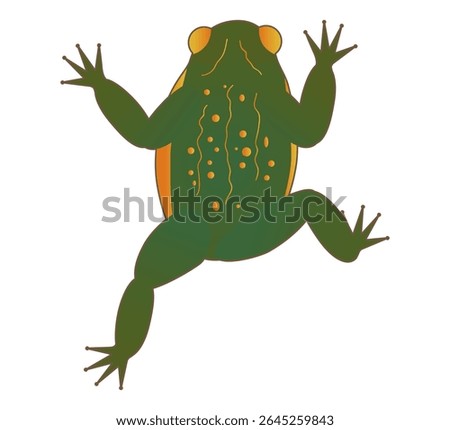 Green toad with spotted skin. Witch s familiar, totem animal, magical pet. Swamp toad vector illustration.