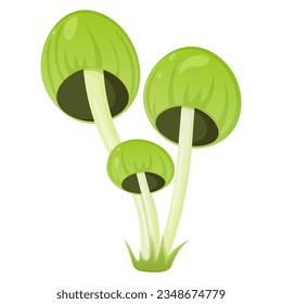Green toadstool isolated on white background
