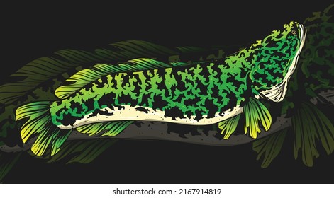 Green toman fish vintage illustration style