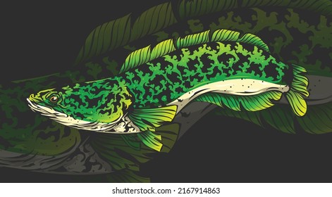 Green toman fish vintage illustration style