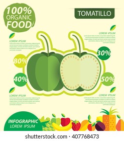 Green tomatillo. Infographic template. vector illustration.