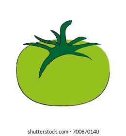 green tomato fruit icon image 