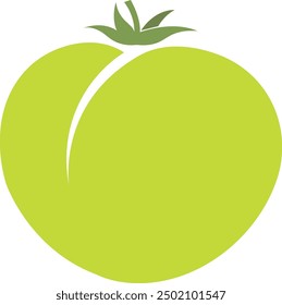 Green tomato isolated vector. Raw tasty tomato on a white background. vegetarian organic food, fresh whole tomato vegetables, healthy nutrition food.