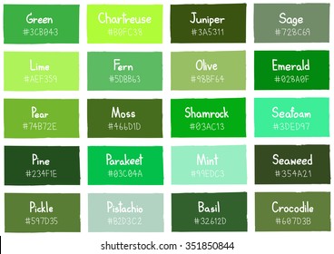 Green Tone Color Shade Background and Code   Name Illustration