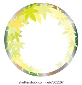 Green tones of maple leaves